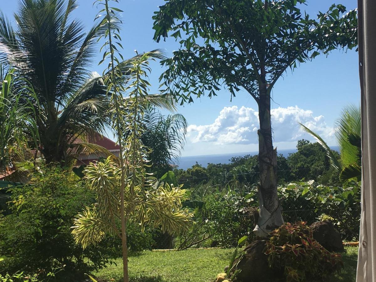 Villa A Rabica - Extrait De Cafe Pointe-Noire Buitenkant foto