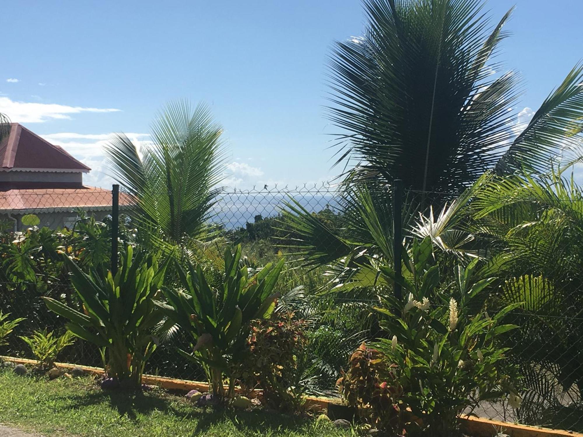 Villa A Rabica - Extrait De Cafe Pointe-Noire Buitenkant foto
