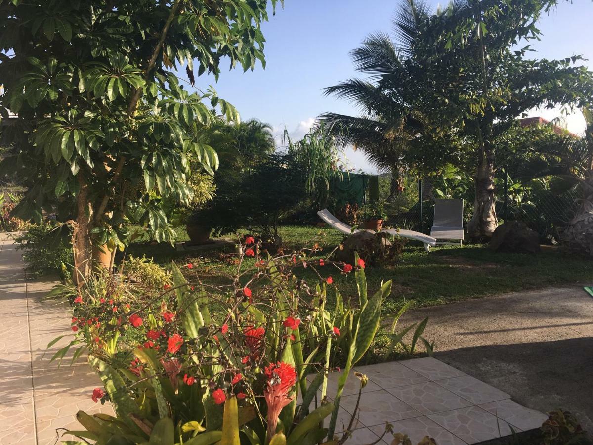 Villa A Rabica - Extrait De Cafe Pointe-Noire Buitenkant foto